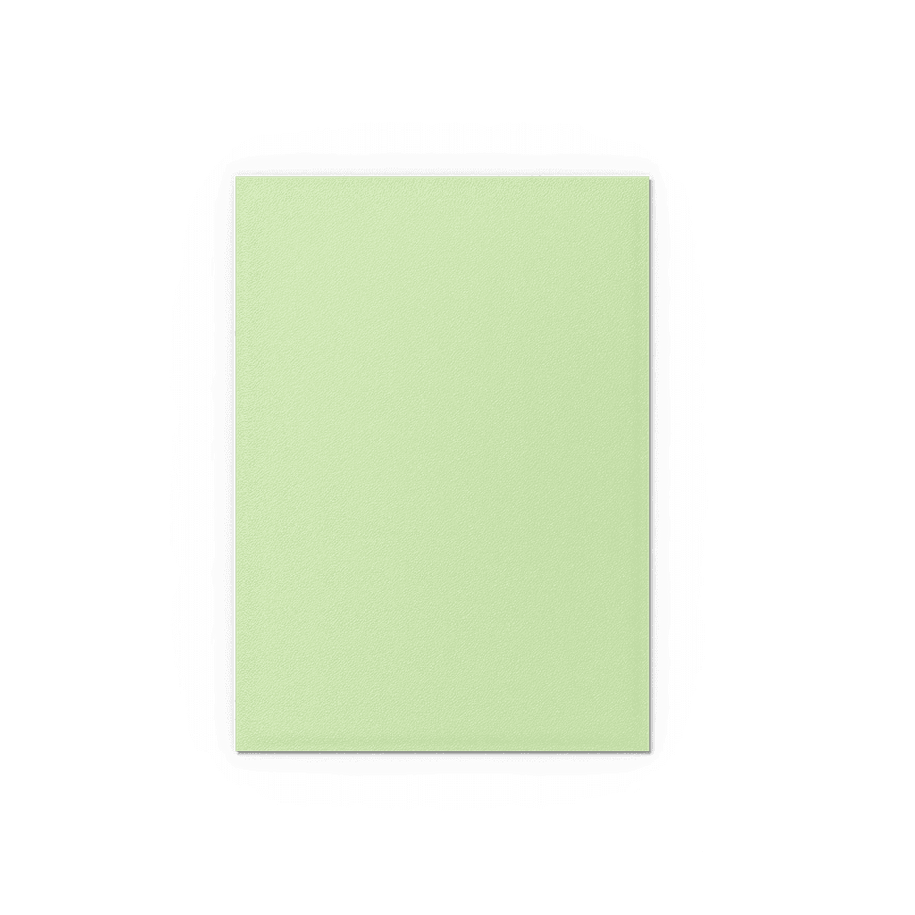 Dragon Shield 100ct Box Matte Dual Gooseberry