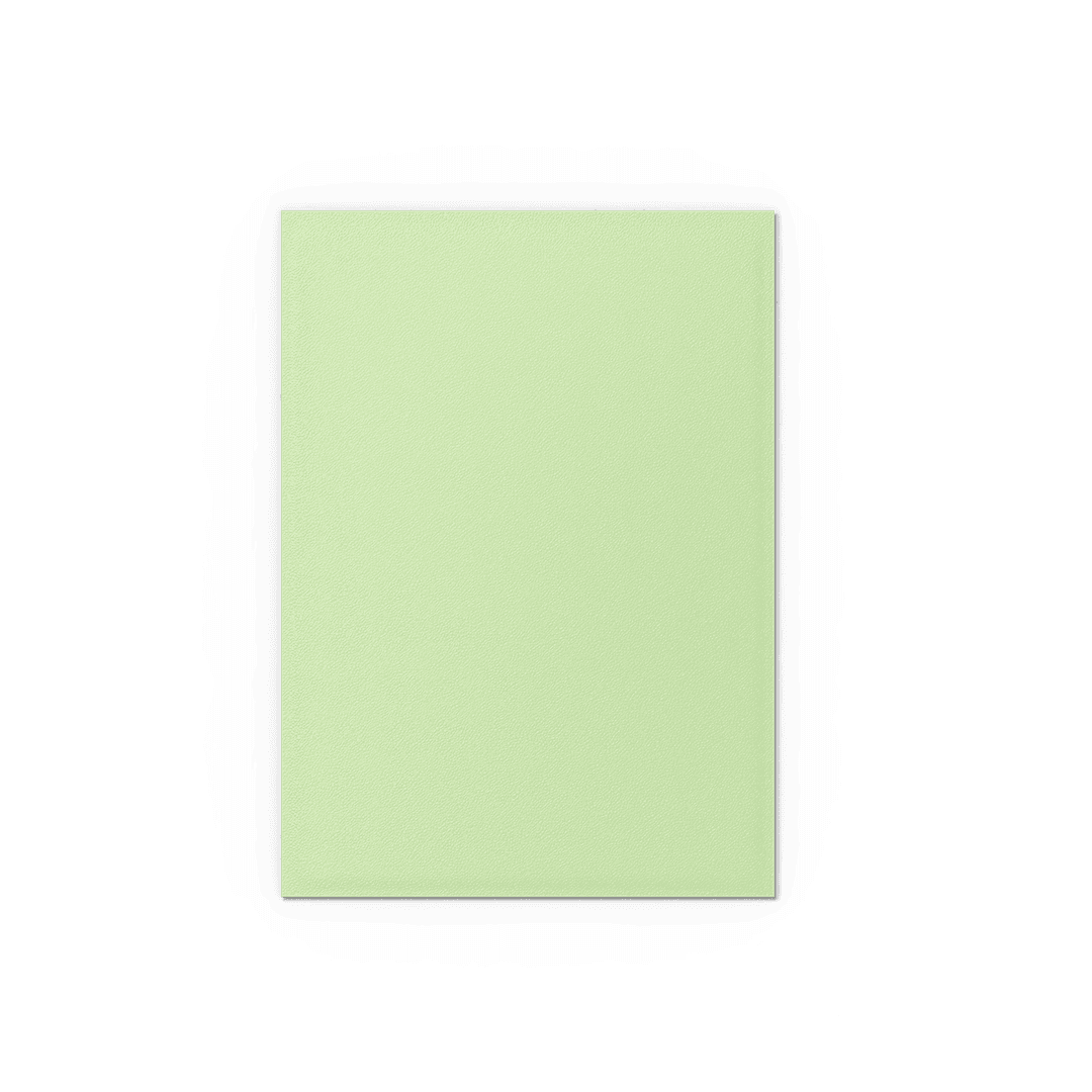 Dragon Shield 100ct Box Matte Dual Gooseberry